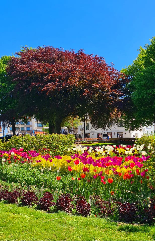 Lysekil stadspark